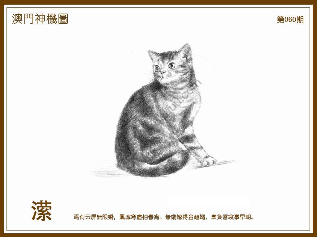 澳门神机图