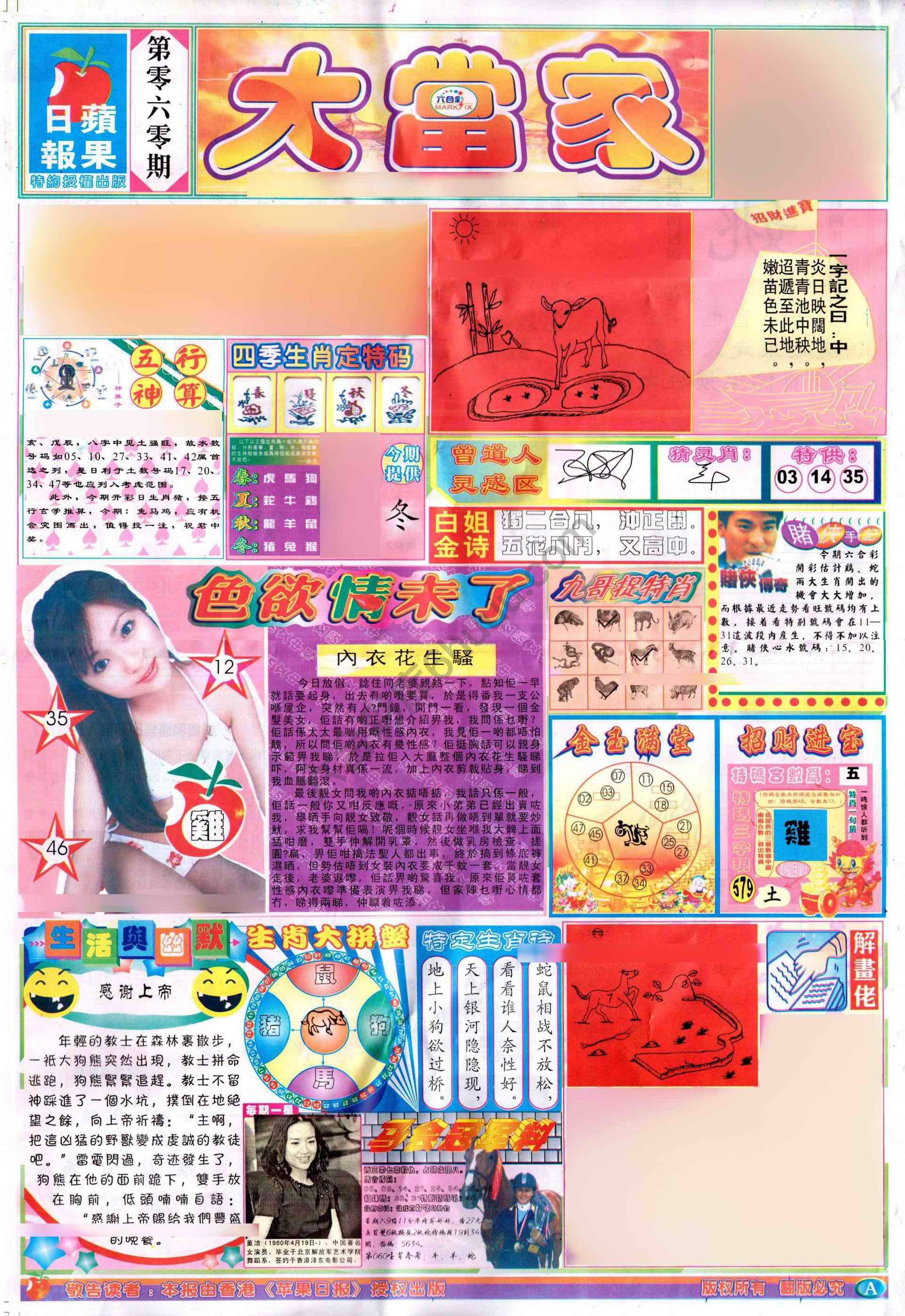 大当家