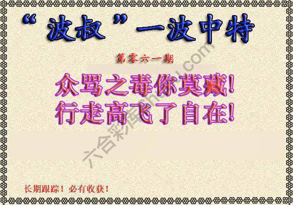 波叔一波中特