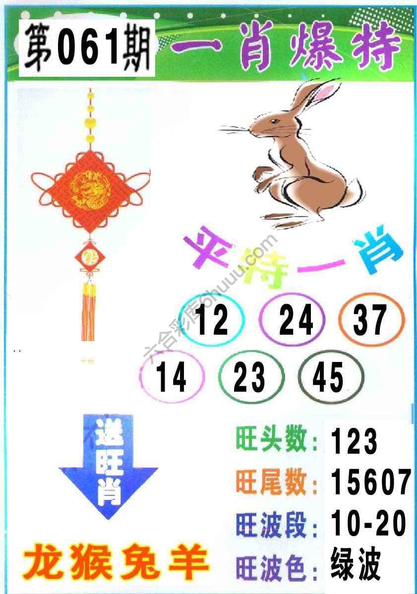 一肖爆特（新版）