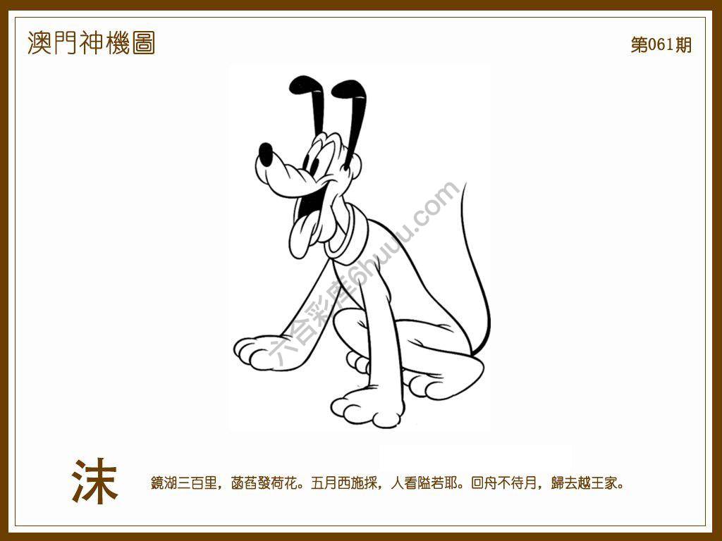 澳门神机图