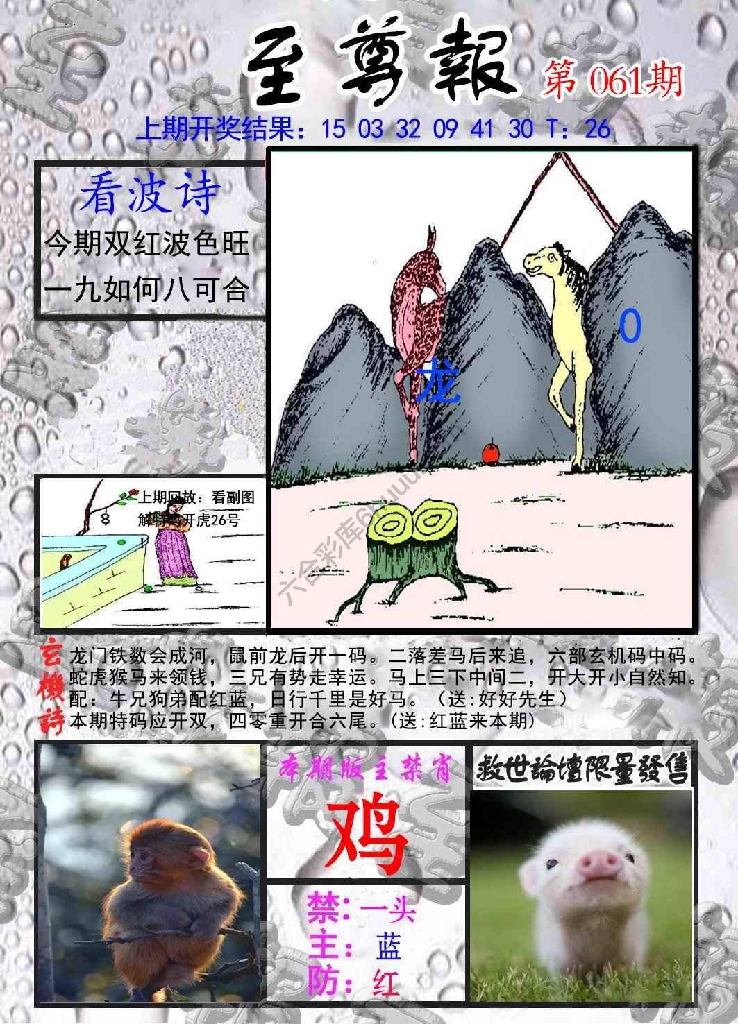 至尊报