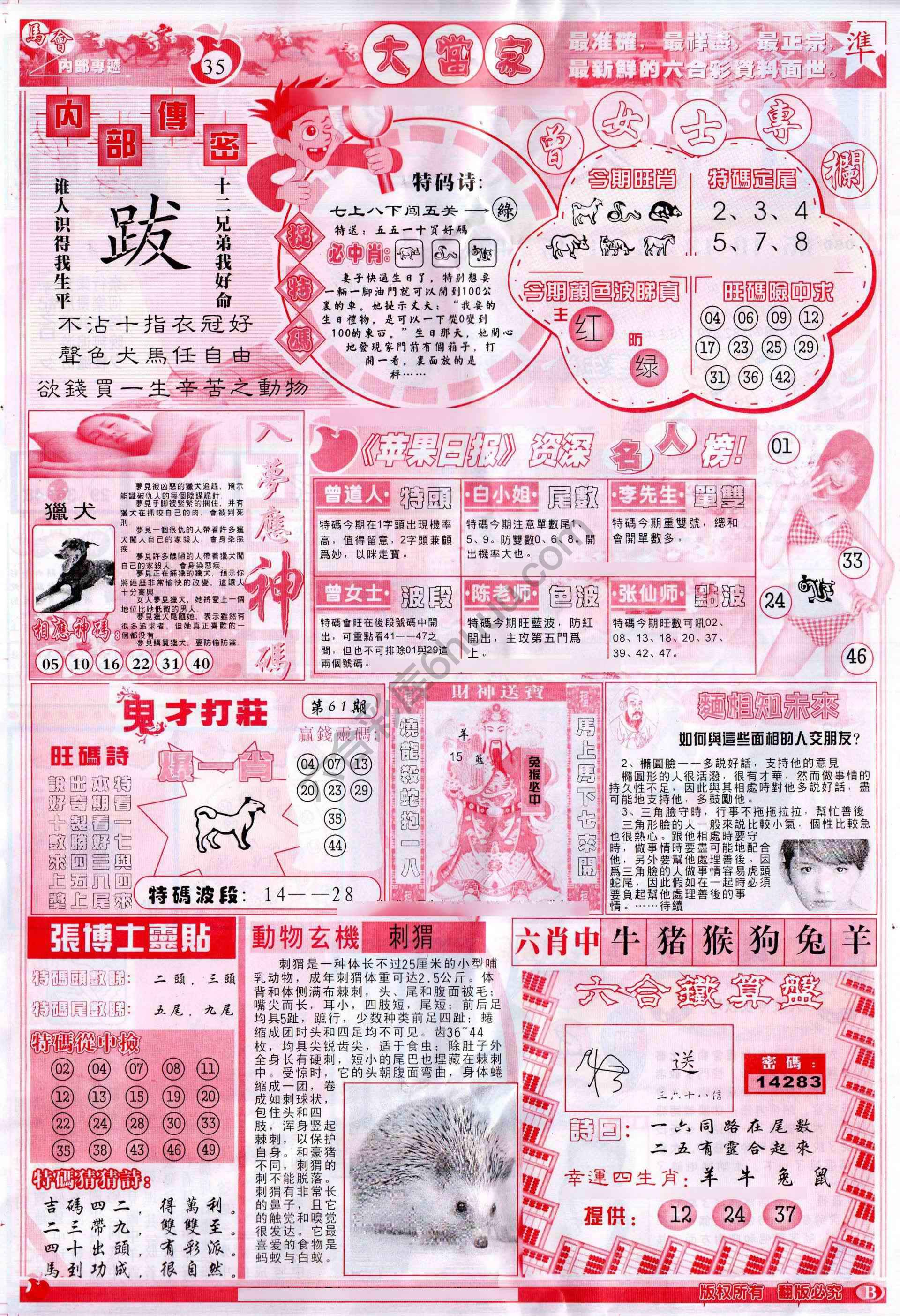大当家