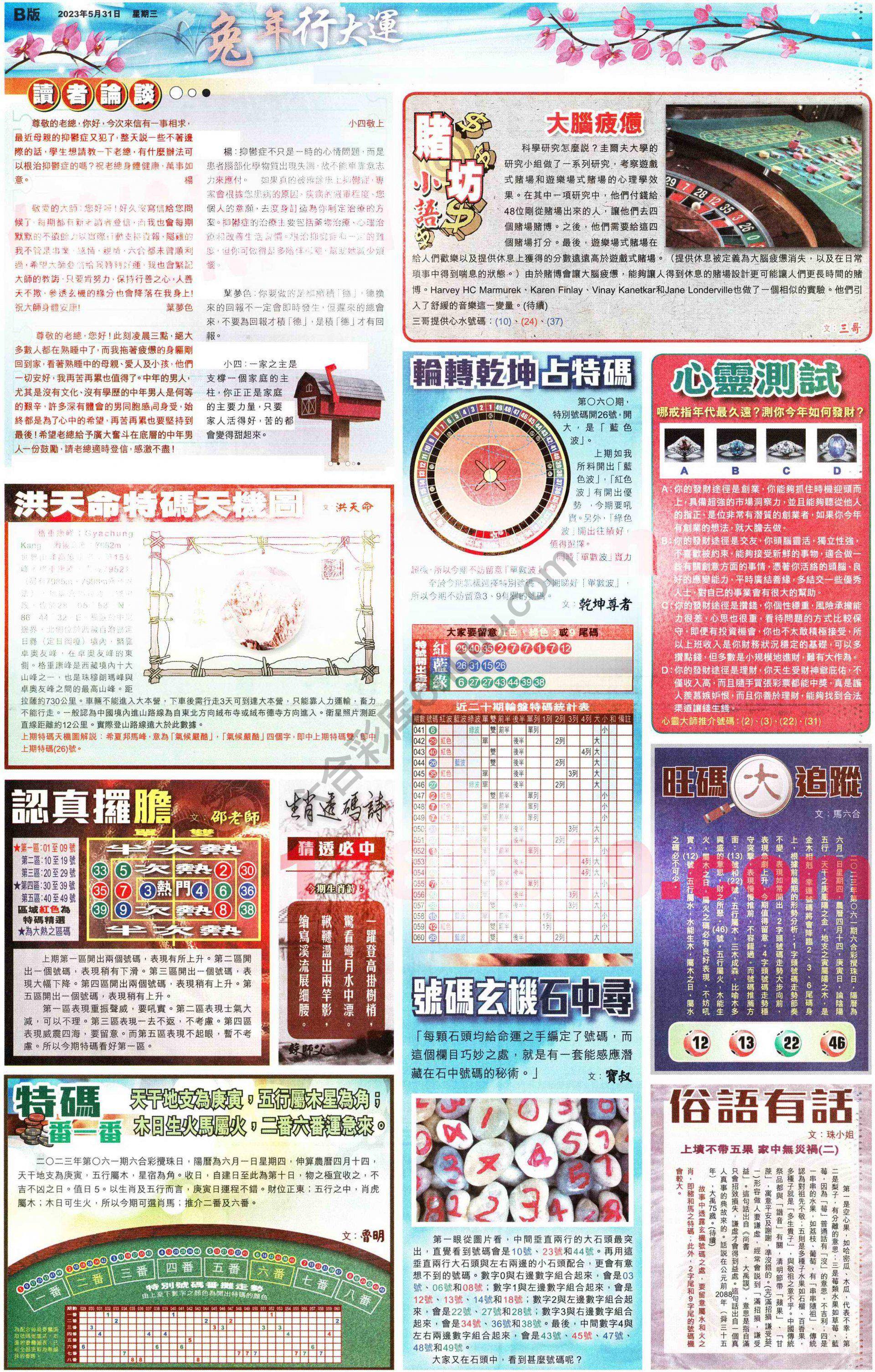 大版贴士皇