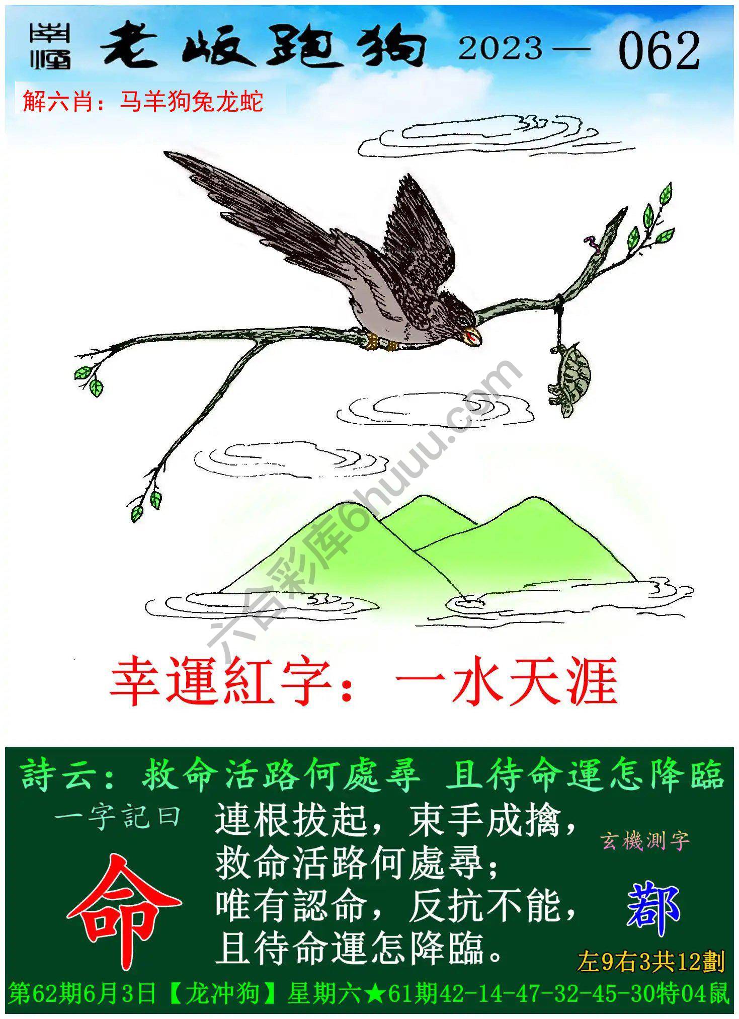 老版跑狗图
