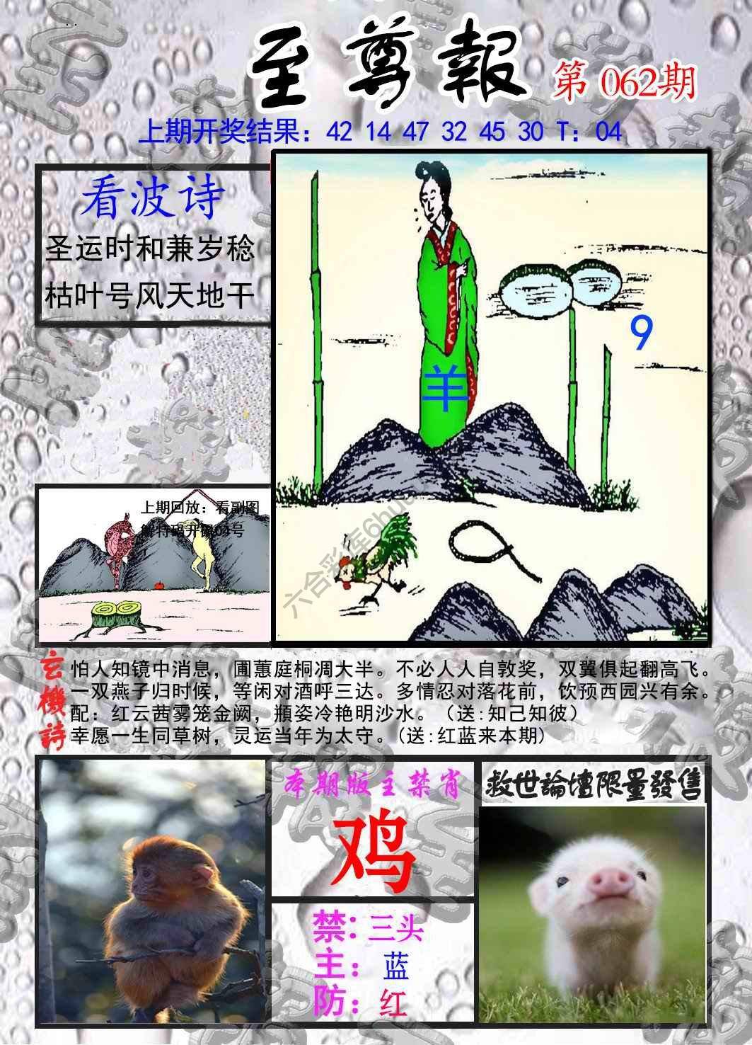 至尊报