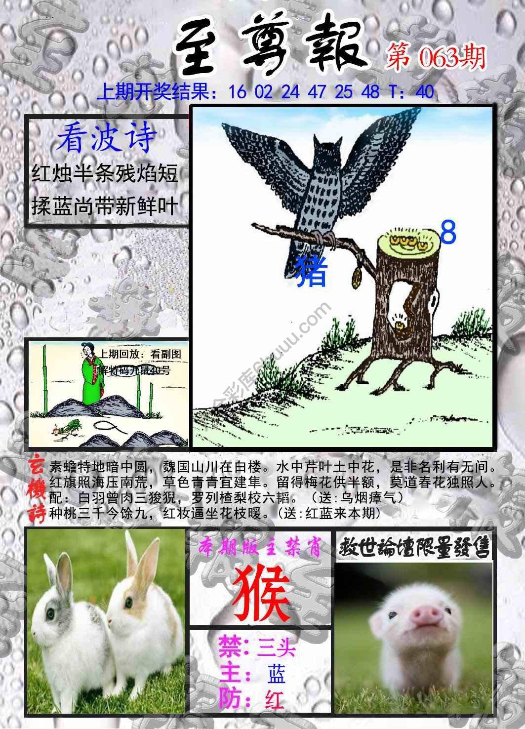 至尊报