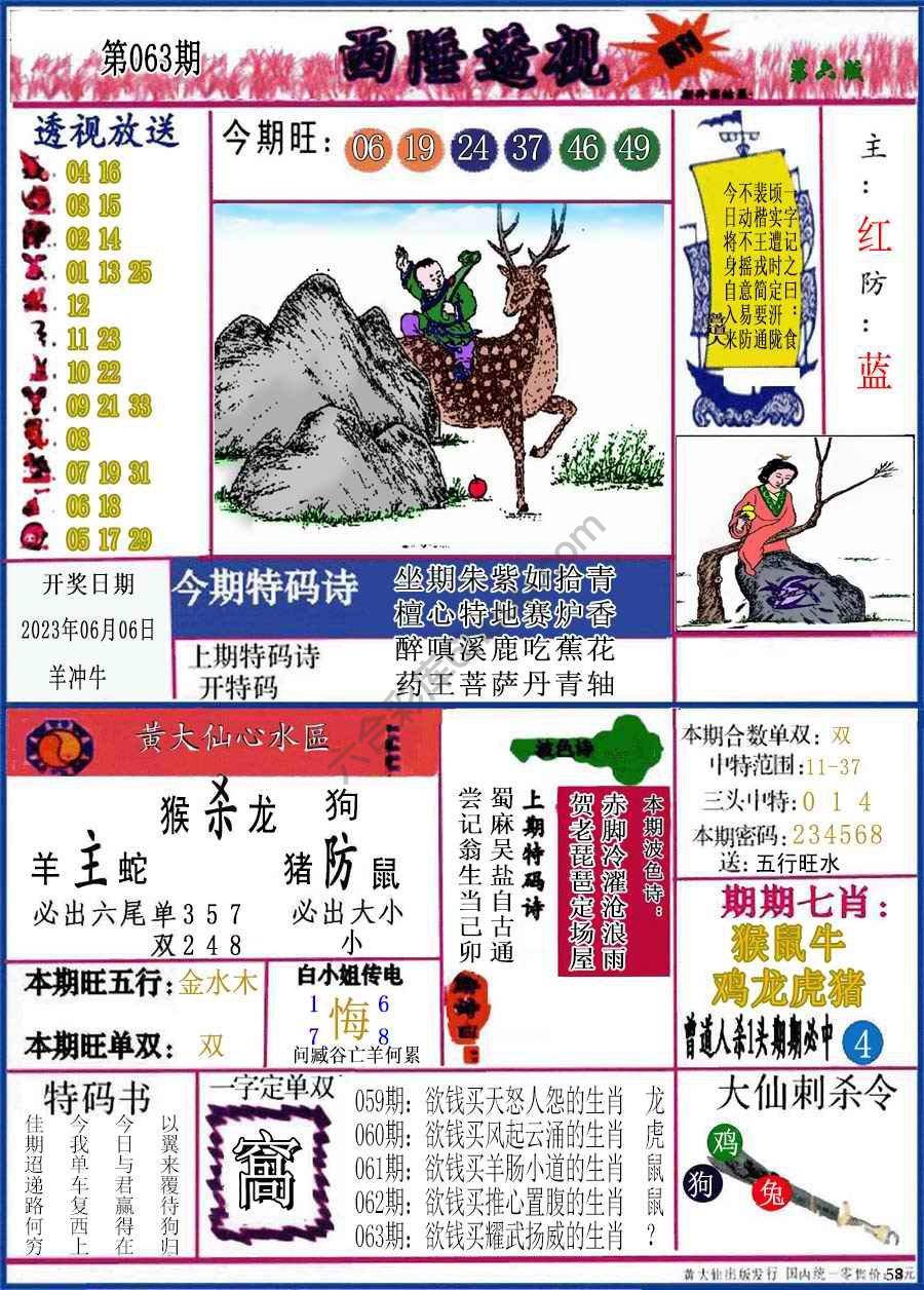 西陲透视（正版）