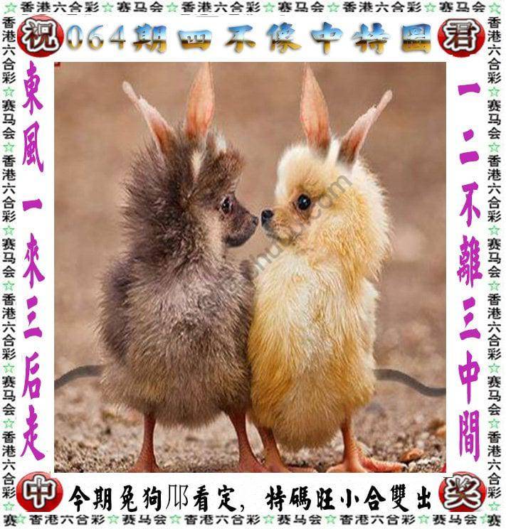 四不像中特图