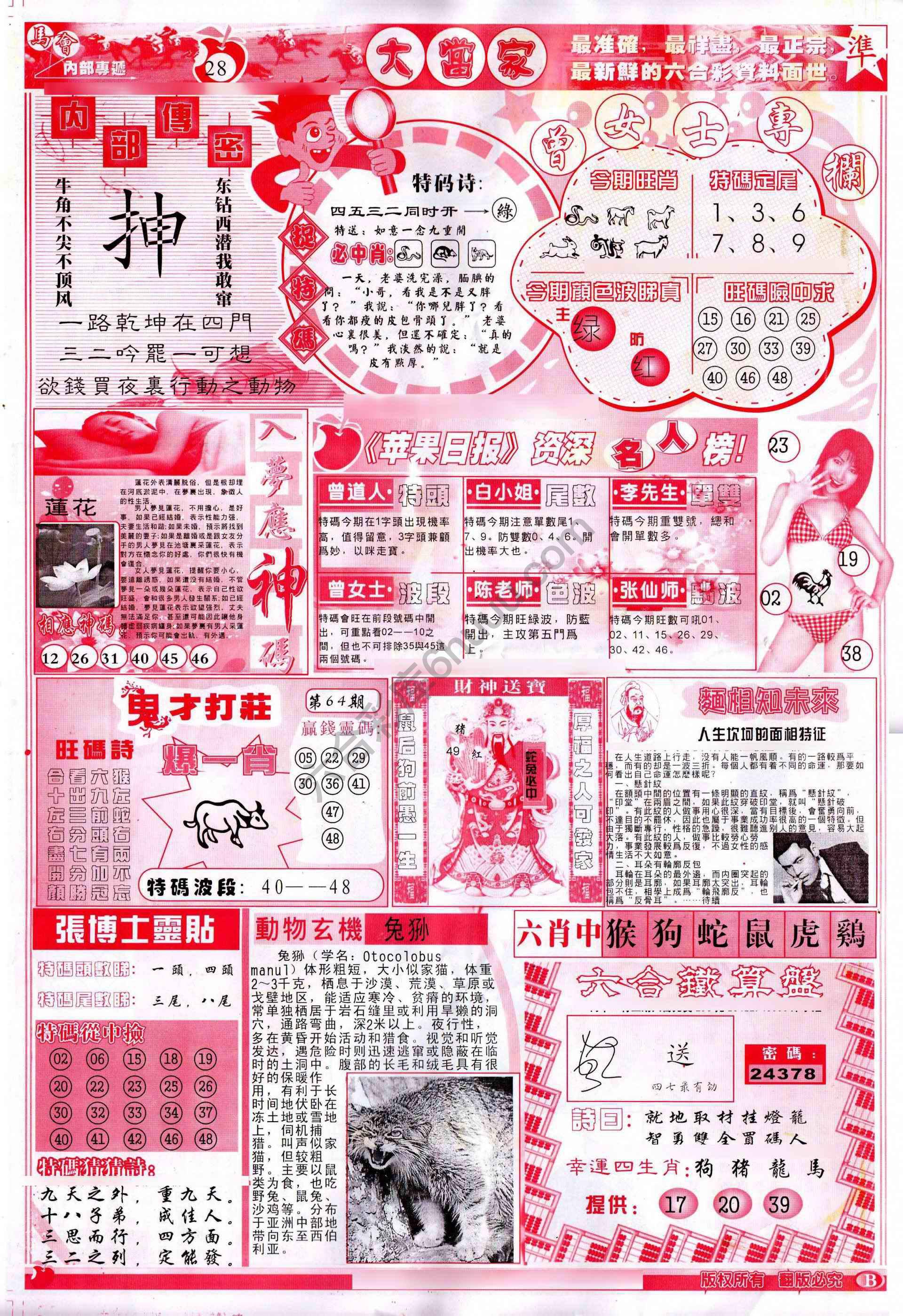 大当家