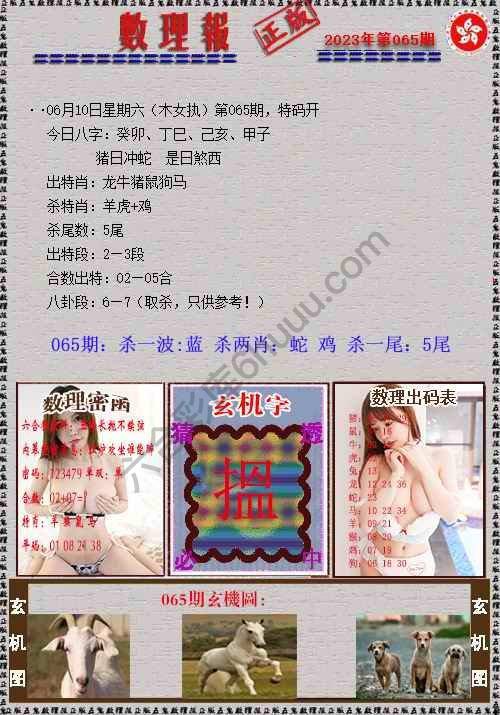 数理报
