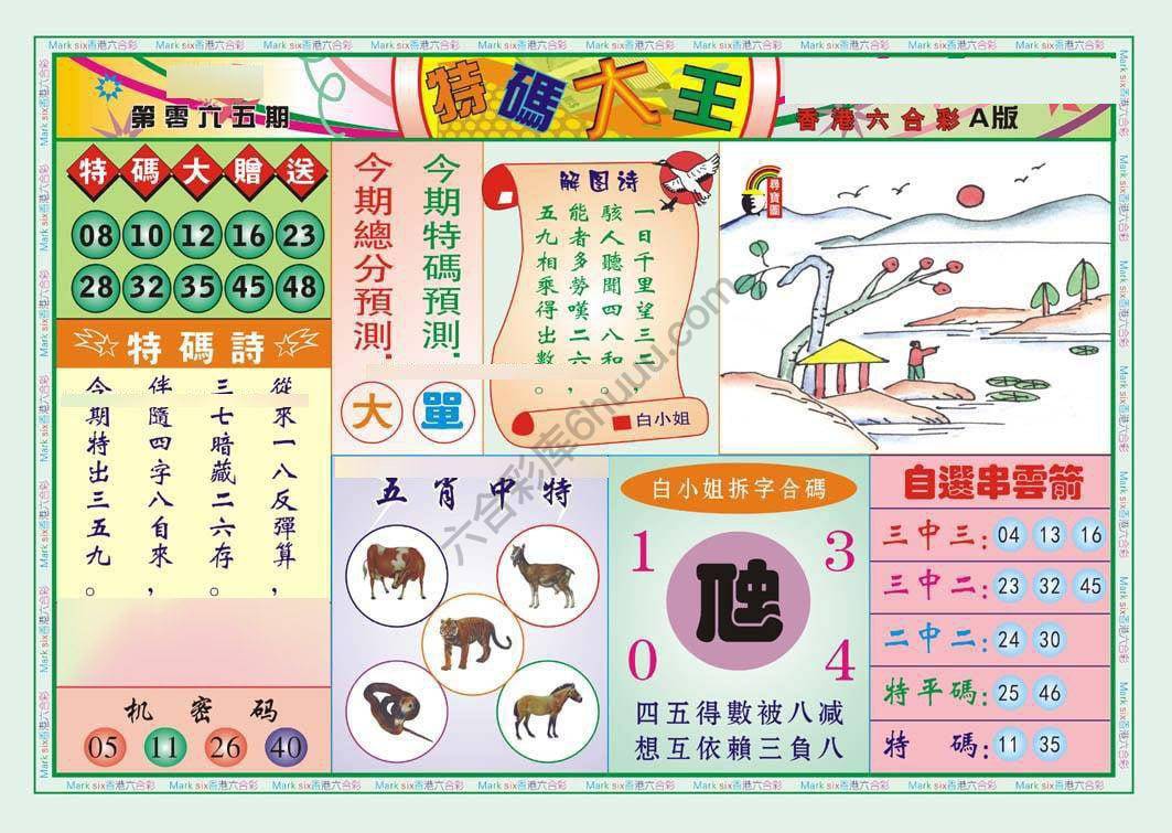 特码大王