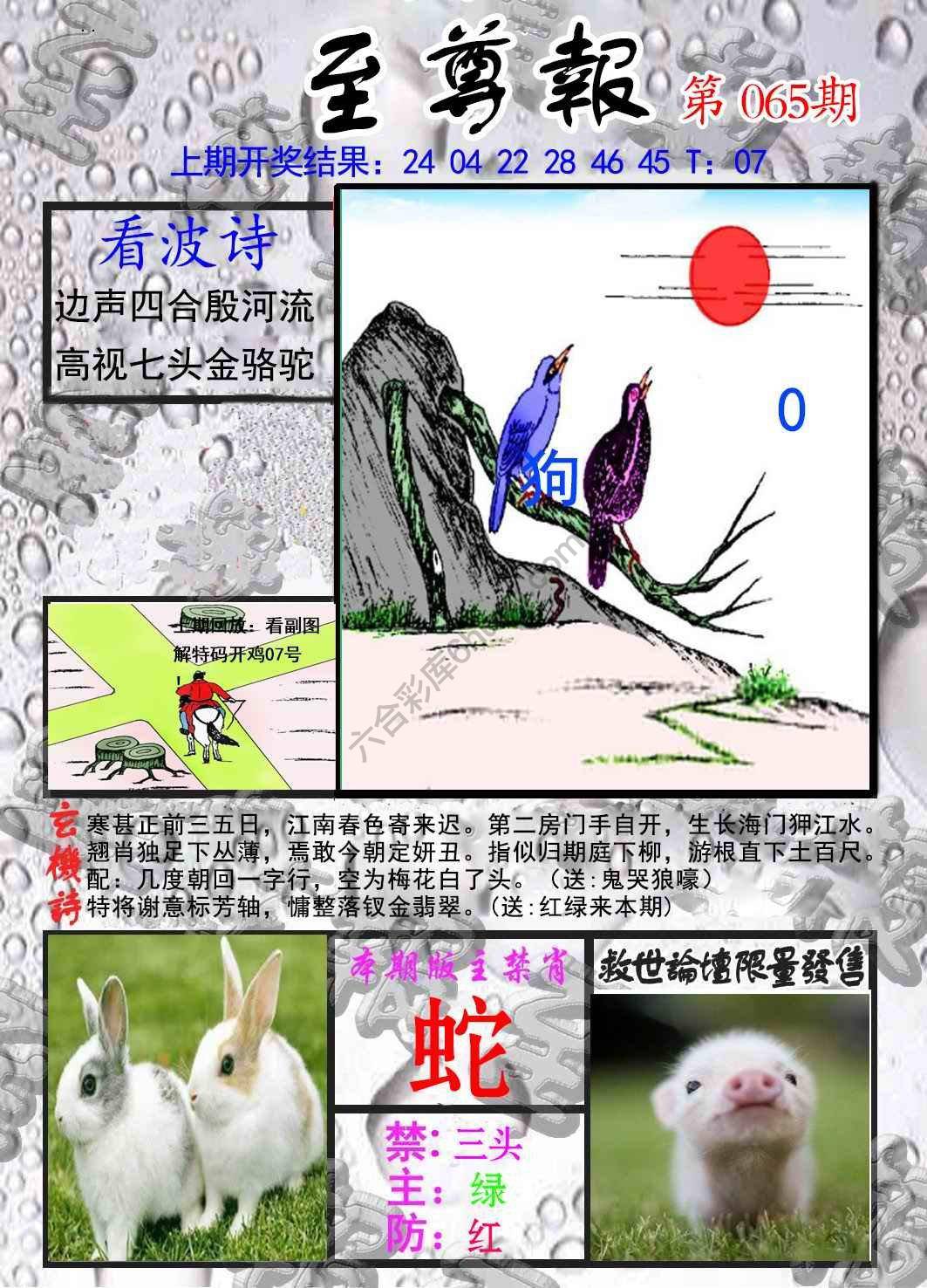 至尊报