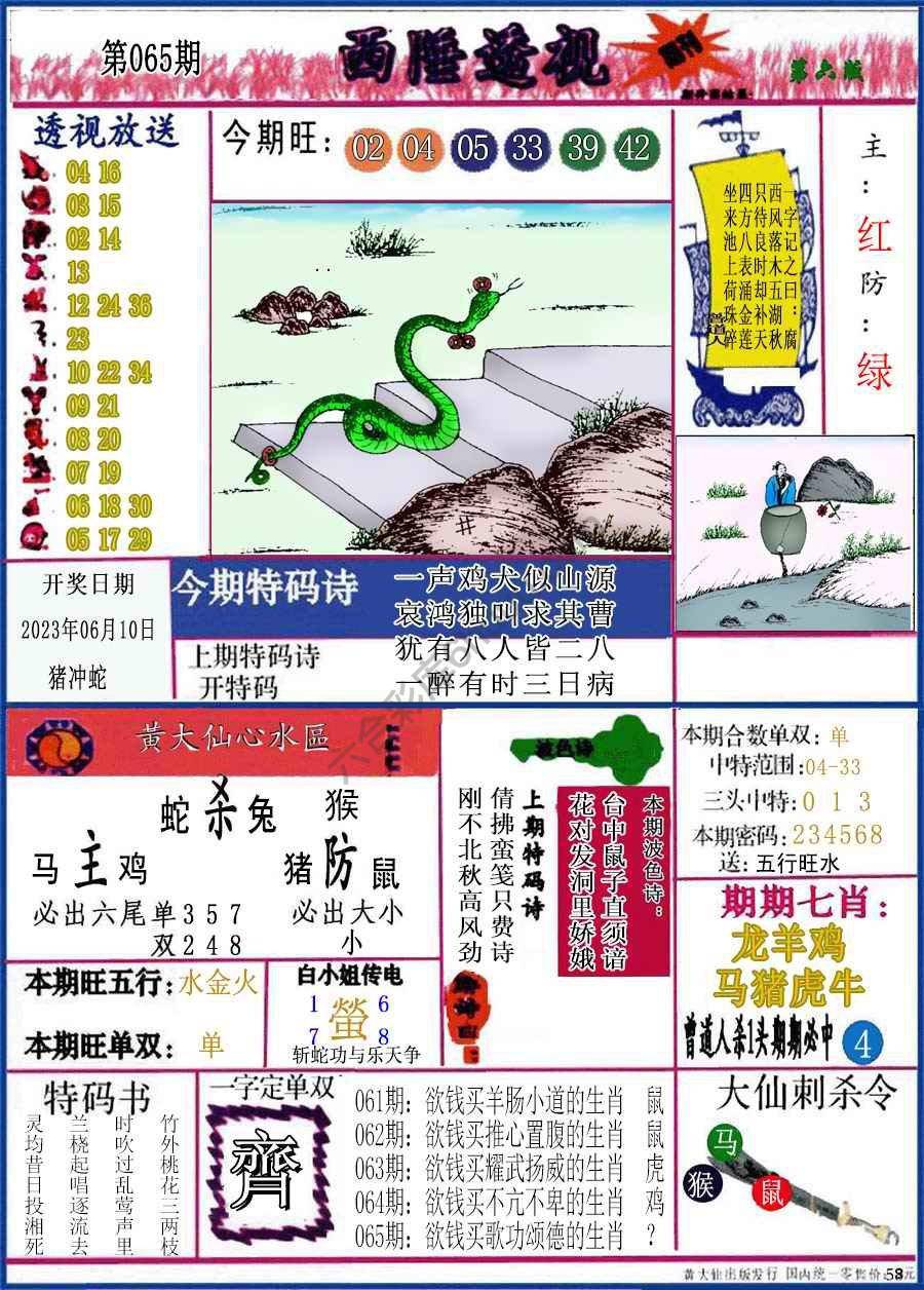 西陲透视（正版）