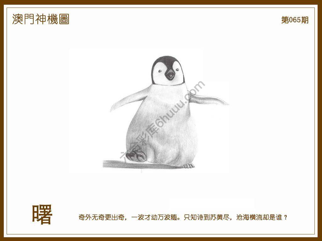 澳门神机图