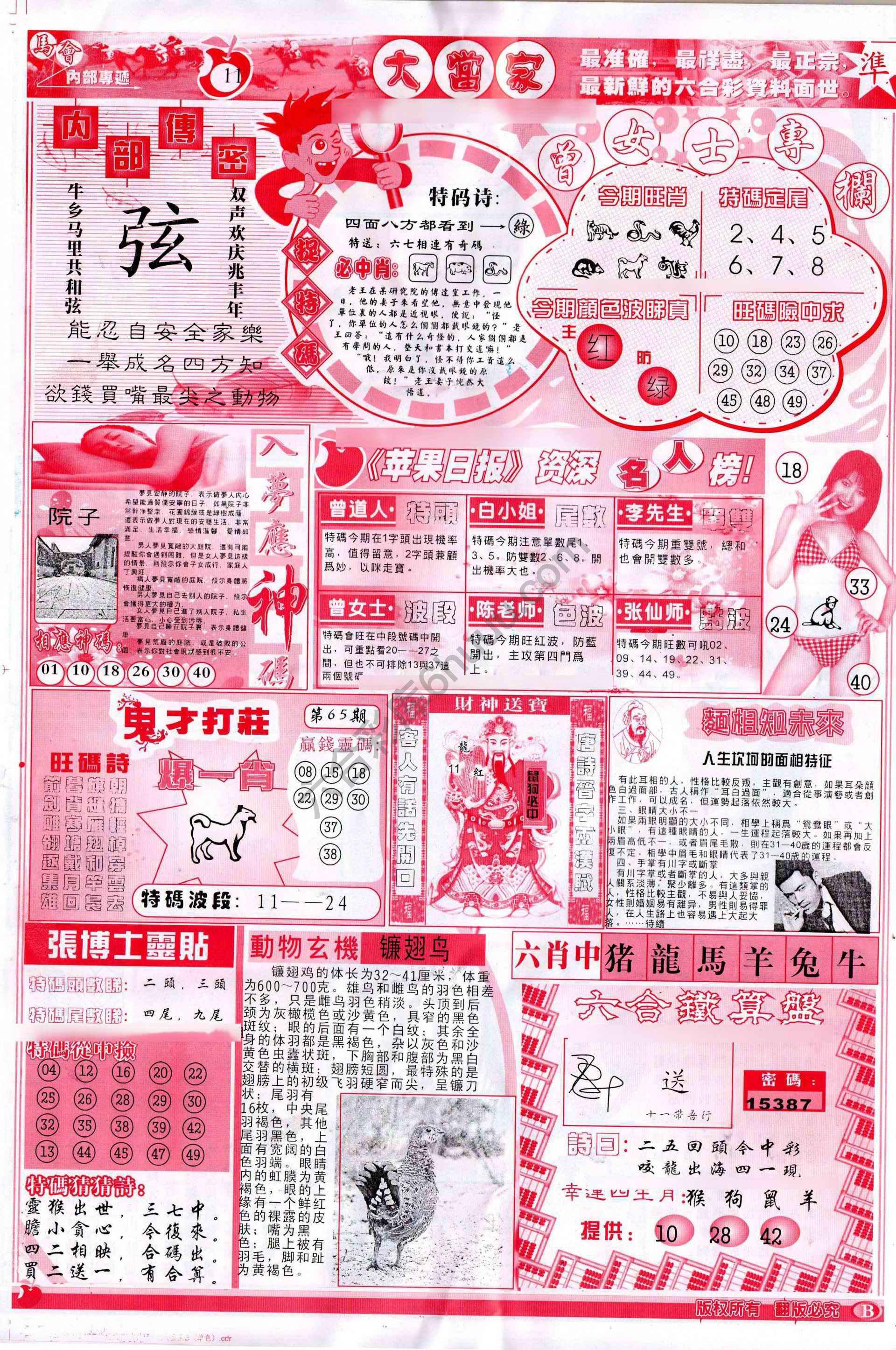 大当家