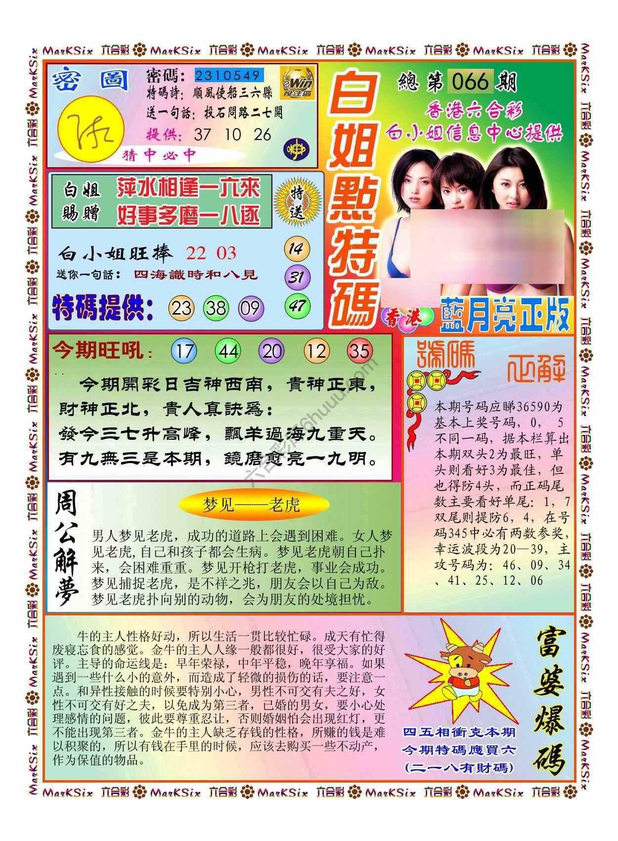 白小姐点特码