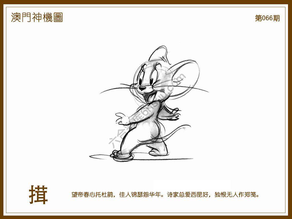 澳门神机图