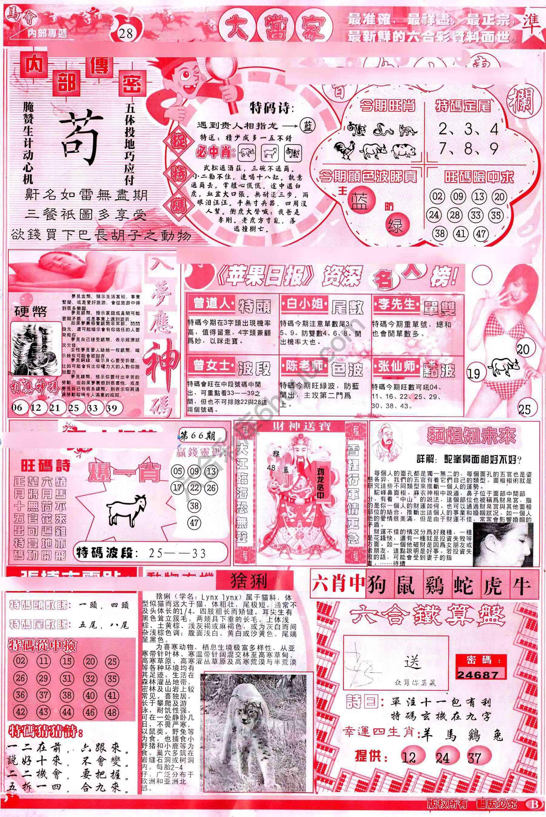 大当家
