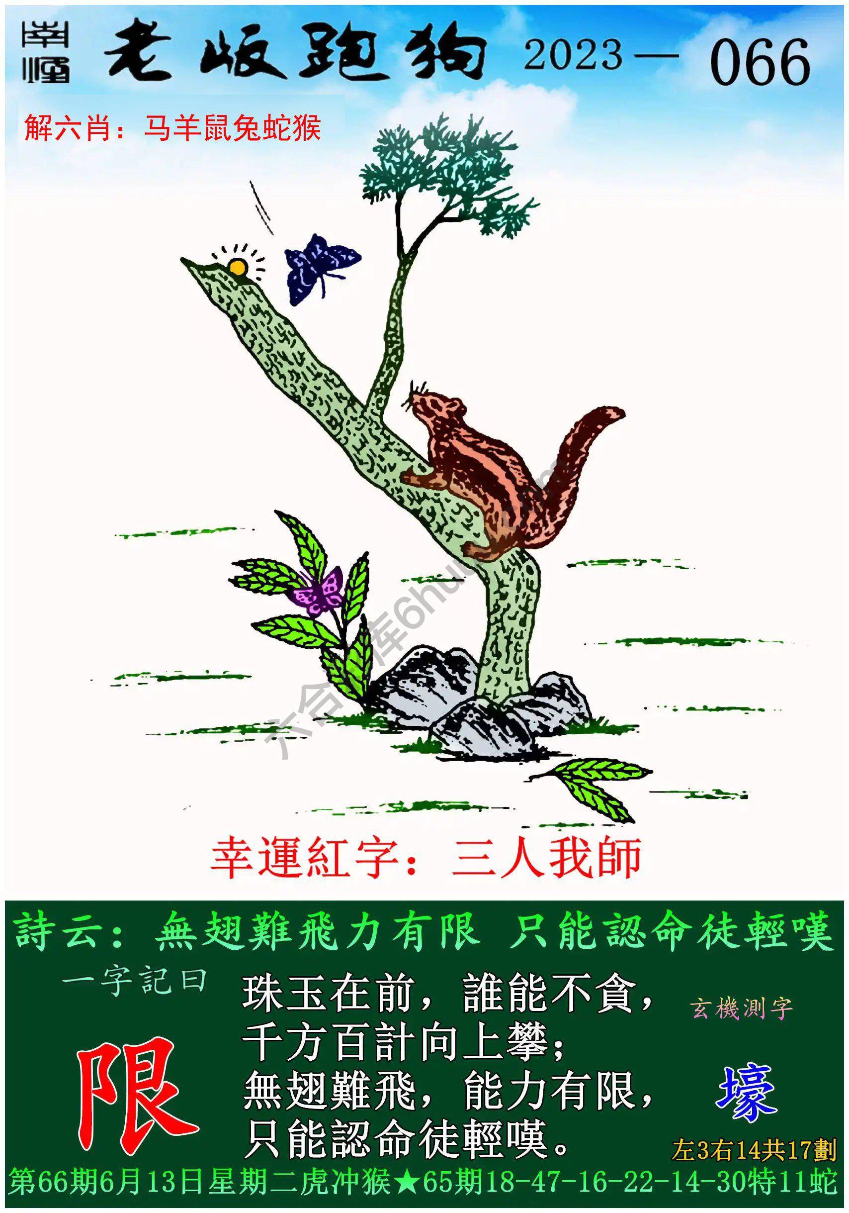 老版跑狗图