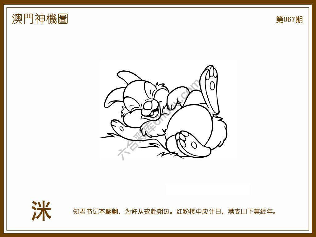 澳门神机图