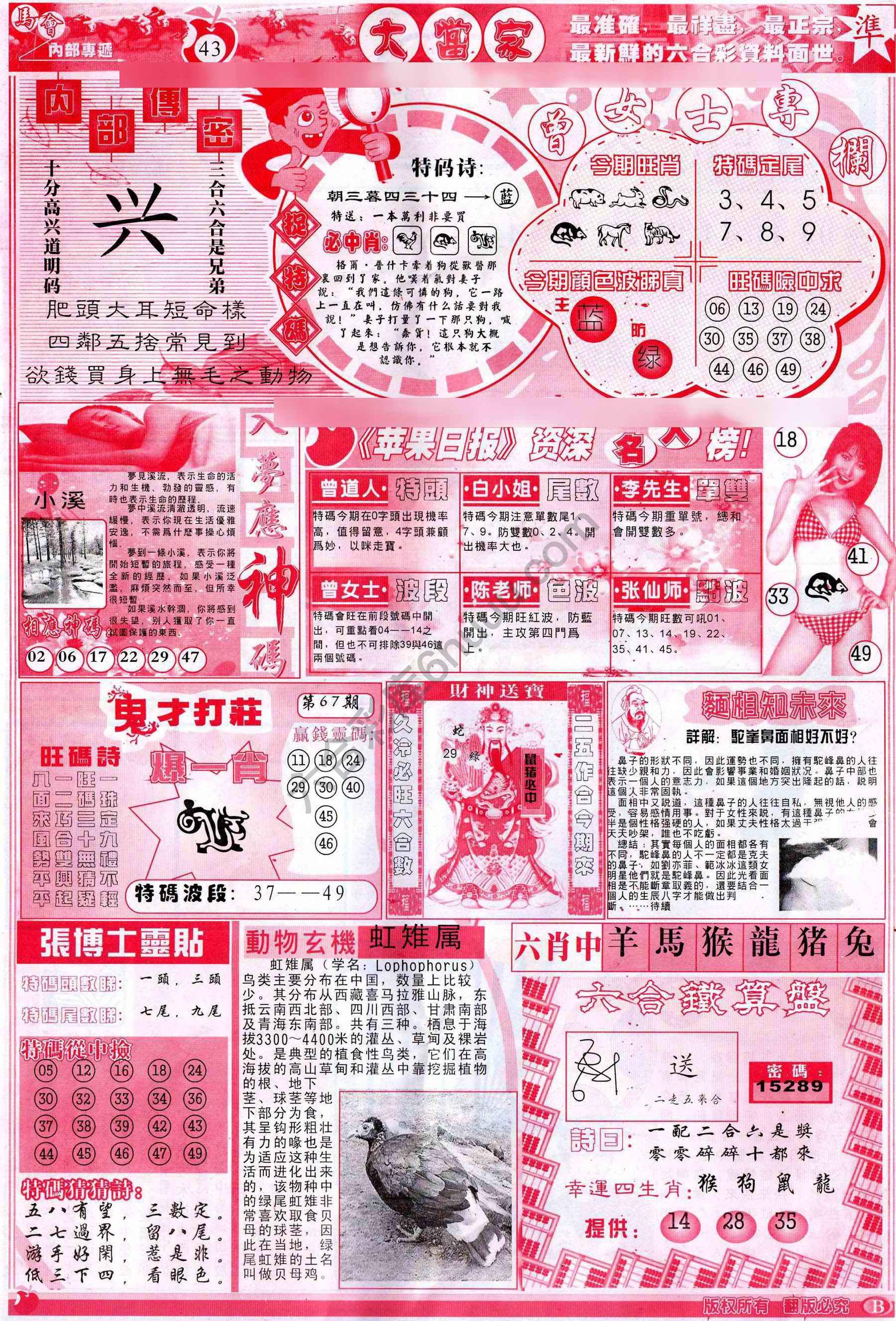 大当家