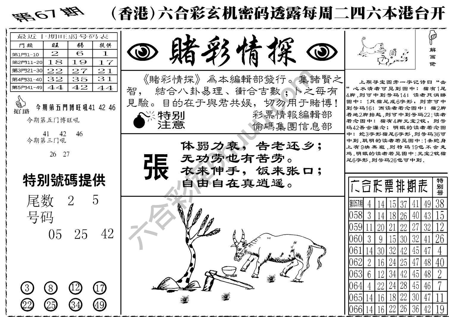 赌彩情探