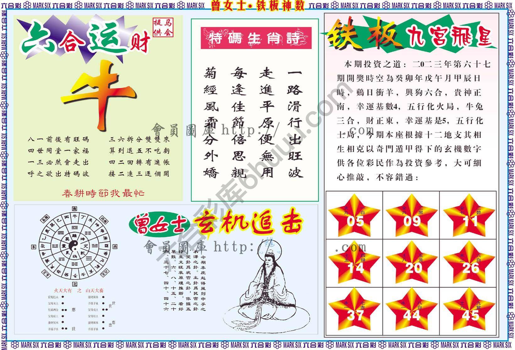 曾女士铁板神数