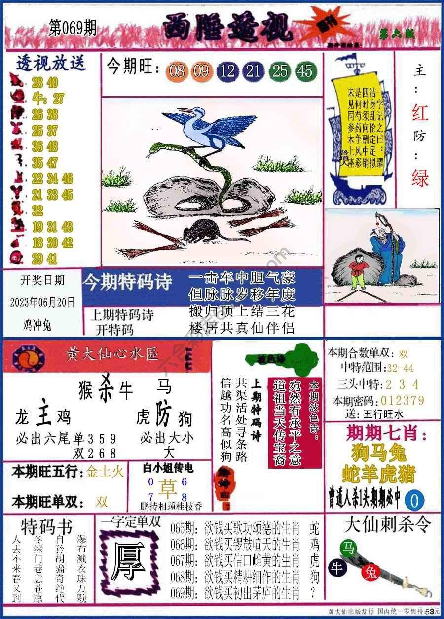 西陲透视（正版）