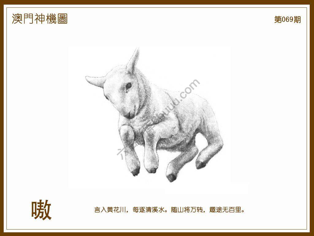 澳门神机图