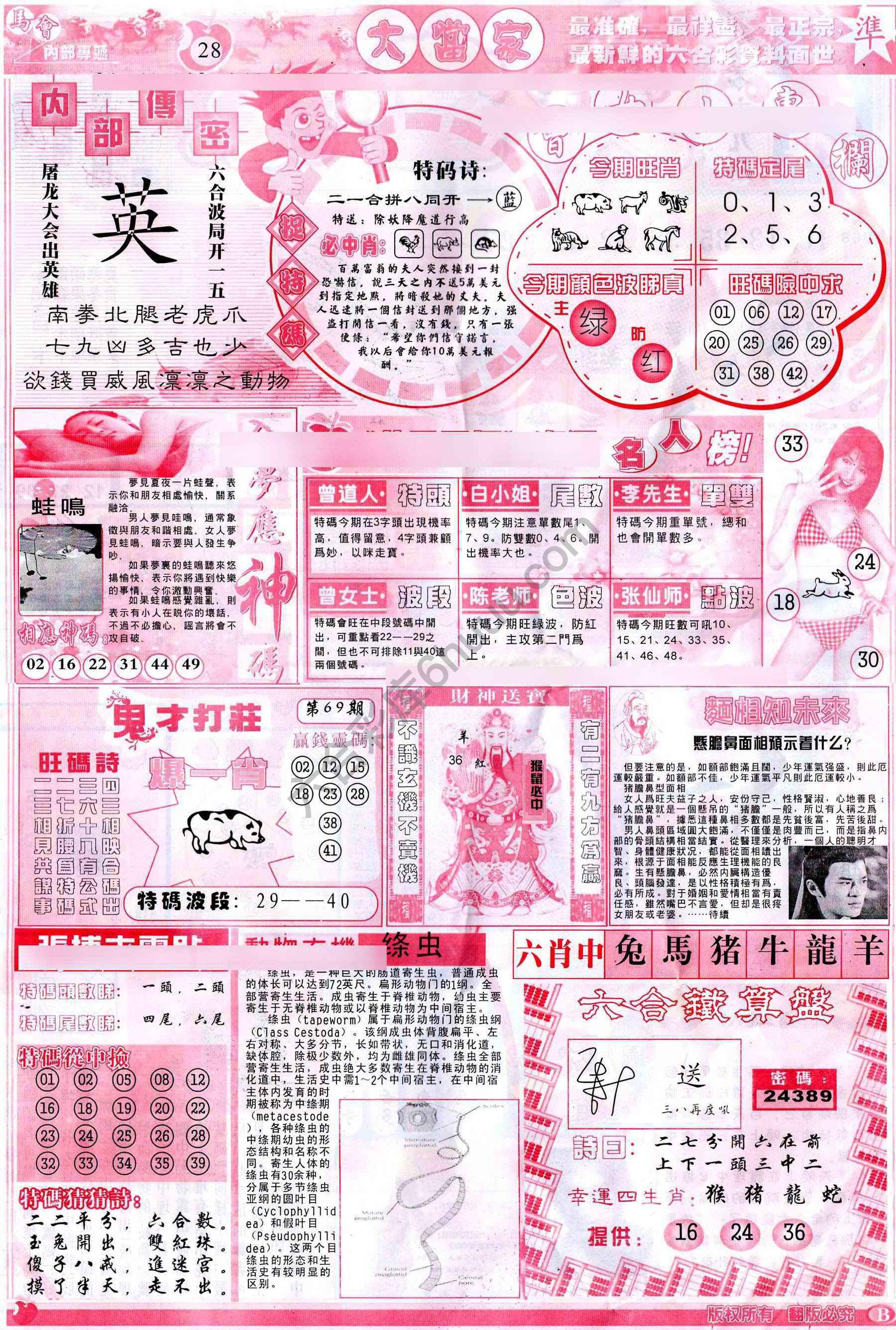 大当家