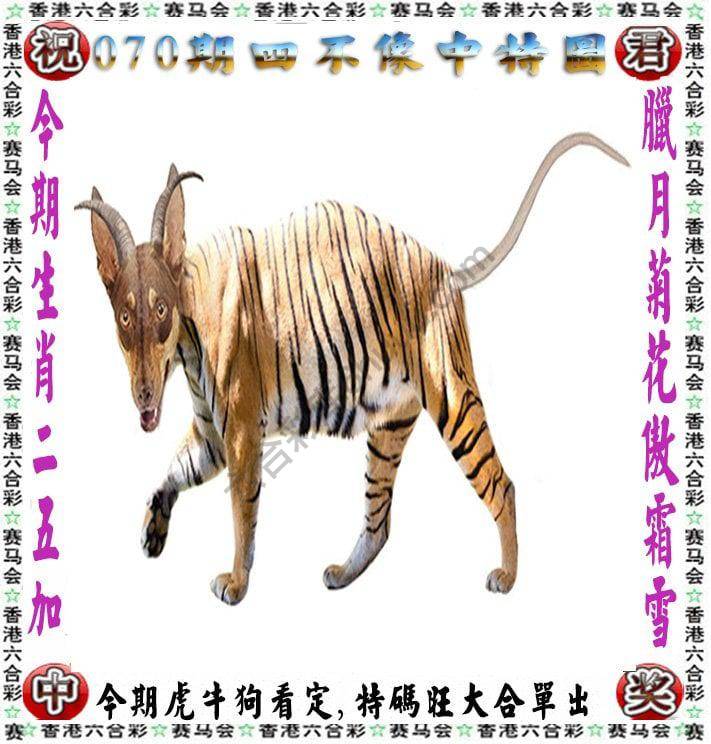 四不像中特图