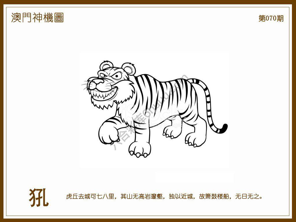 澳门神机图