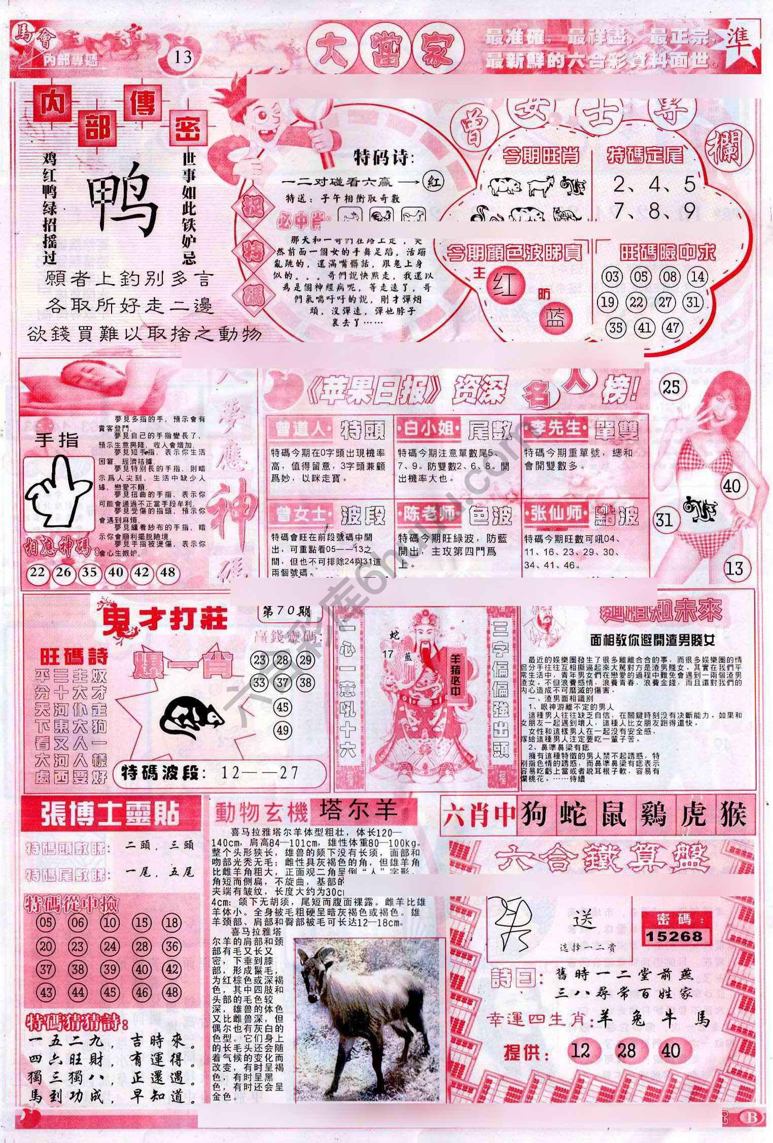 大当家