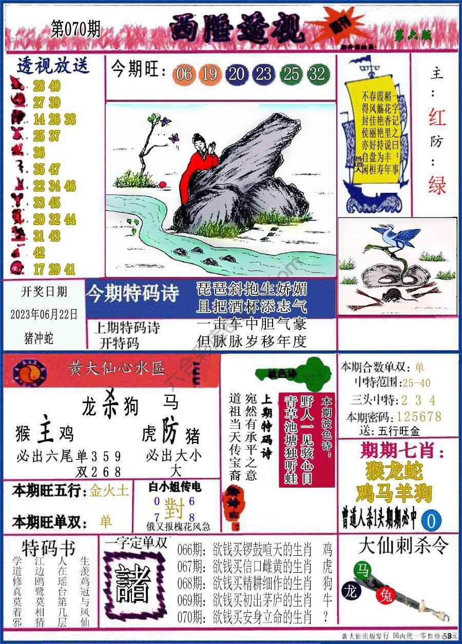 西陲透视（正版）