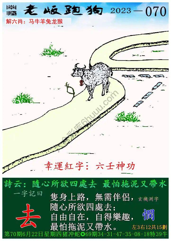 老版跑狗图