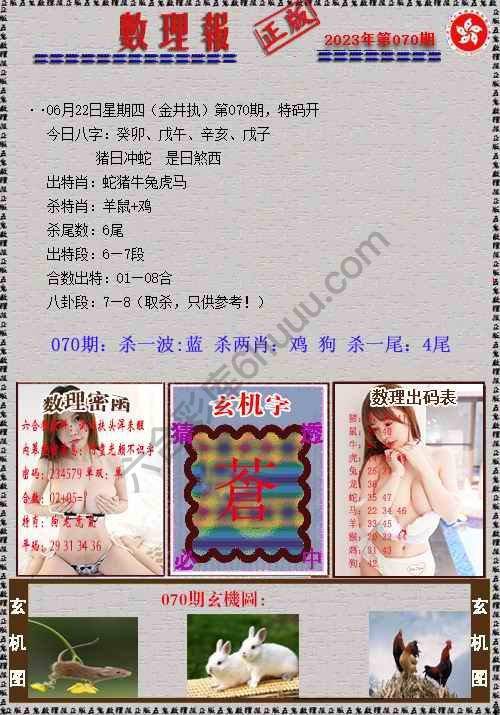 数理报