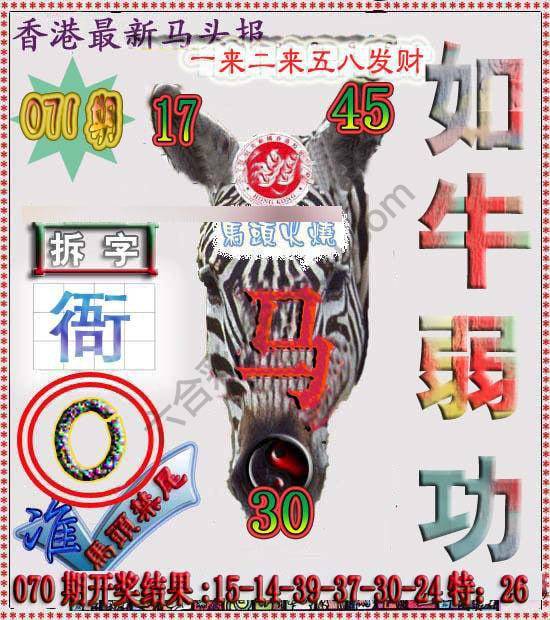 香港马头报