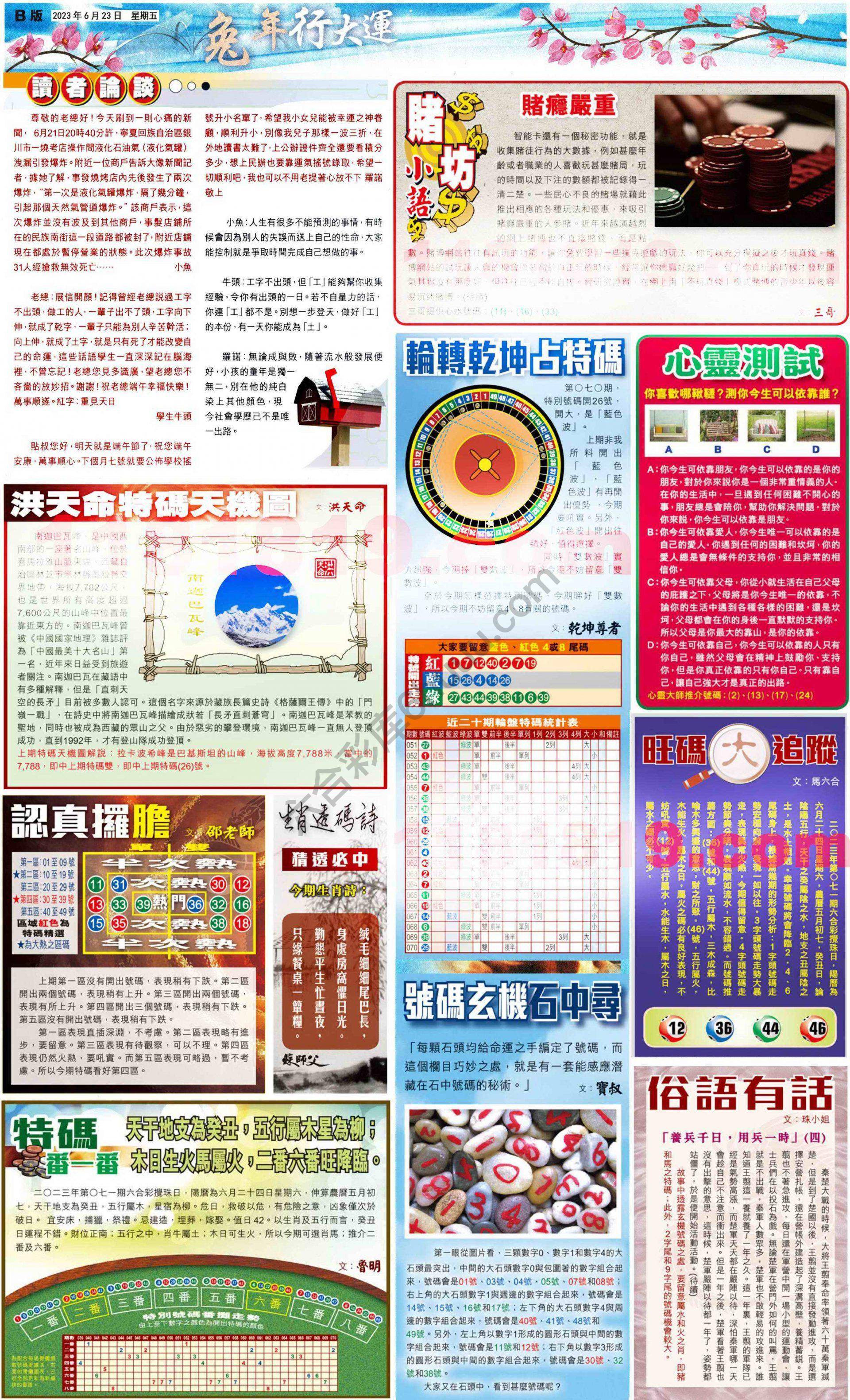 大版贴士皇