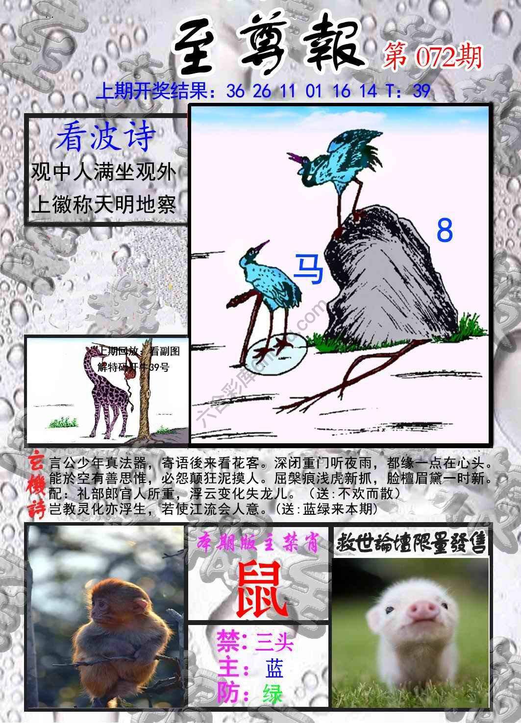至尊报