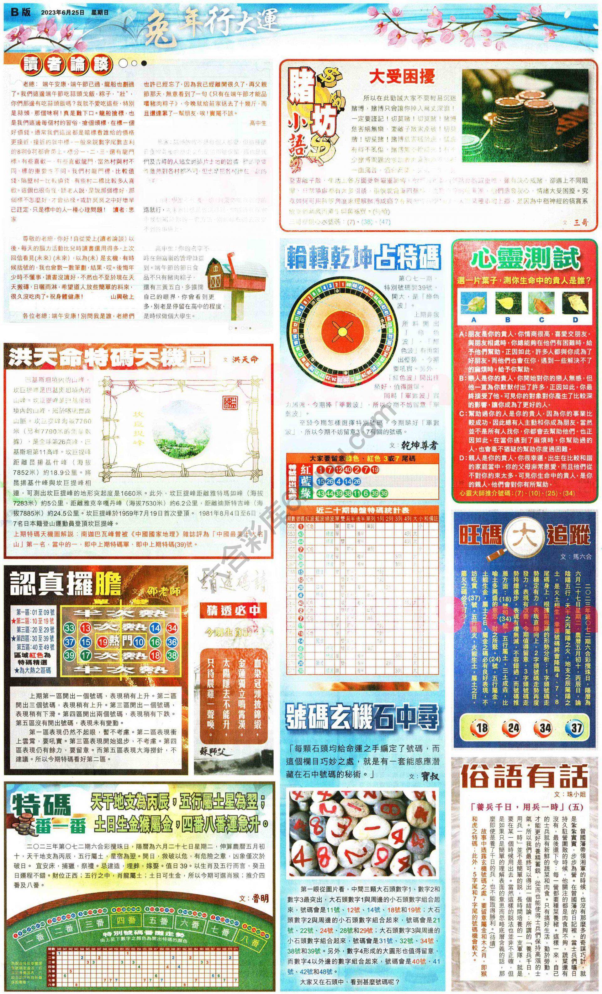 大版贴士皇