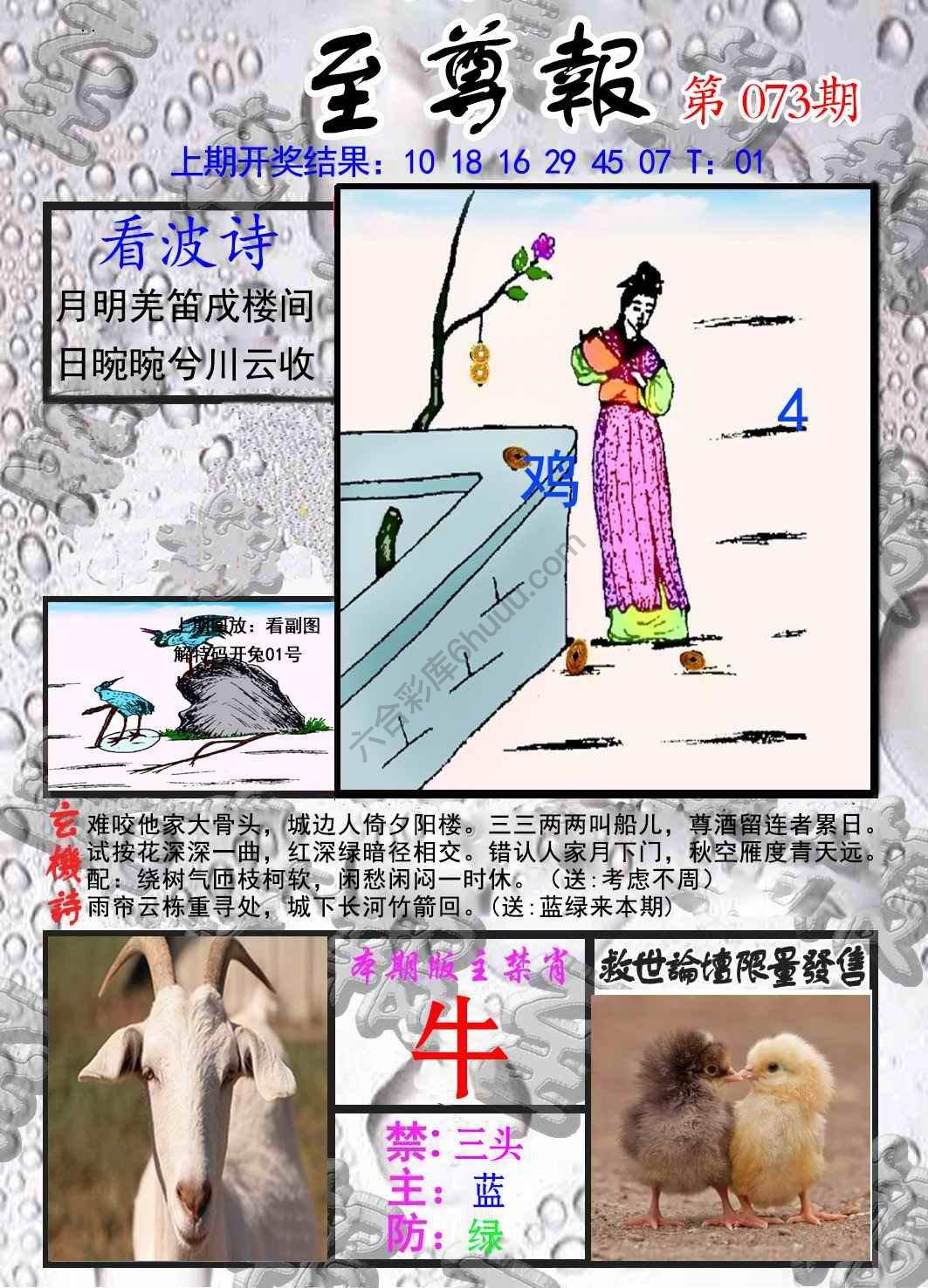 至尊报