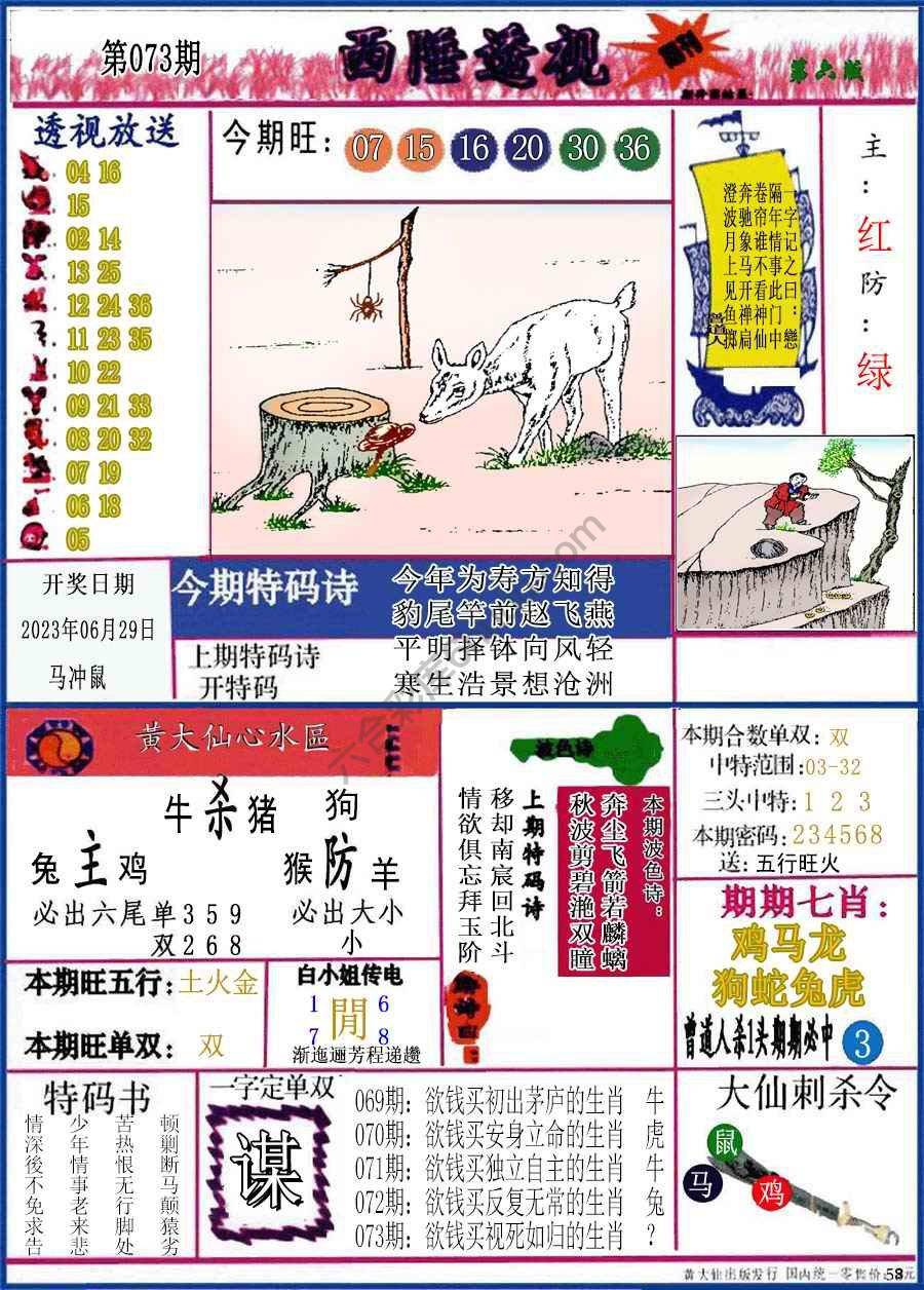 西陲透视（正版）