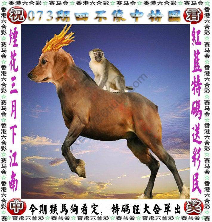 四不像中特图