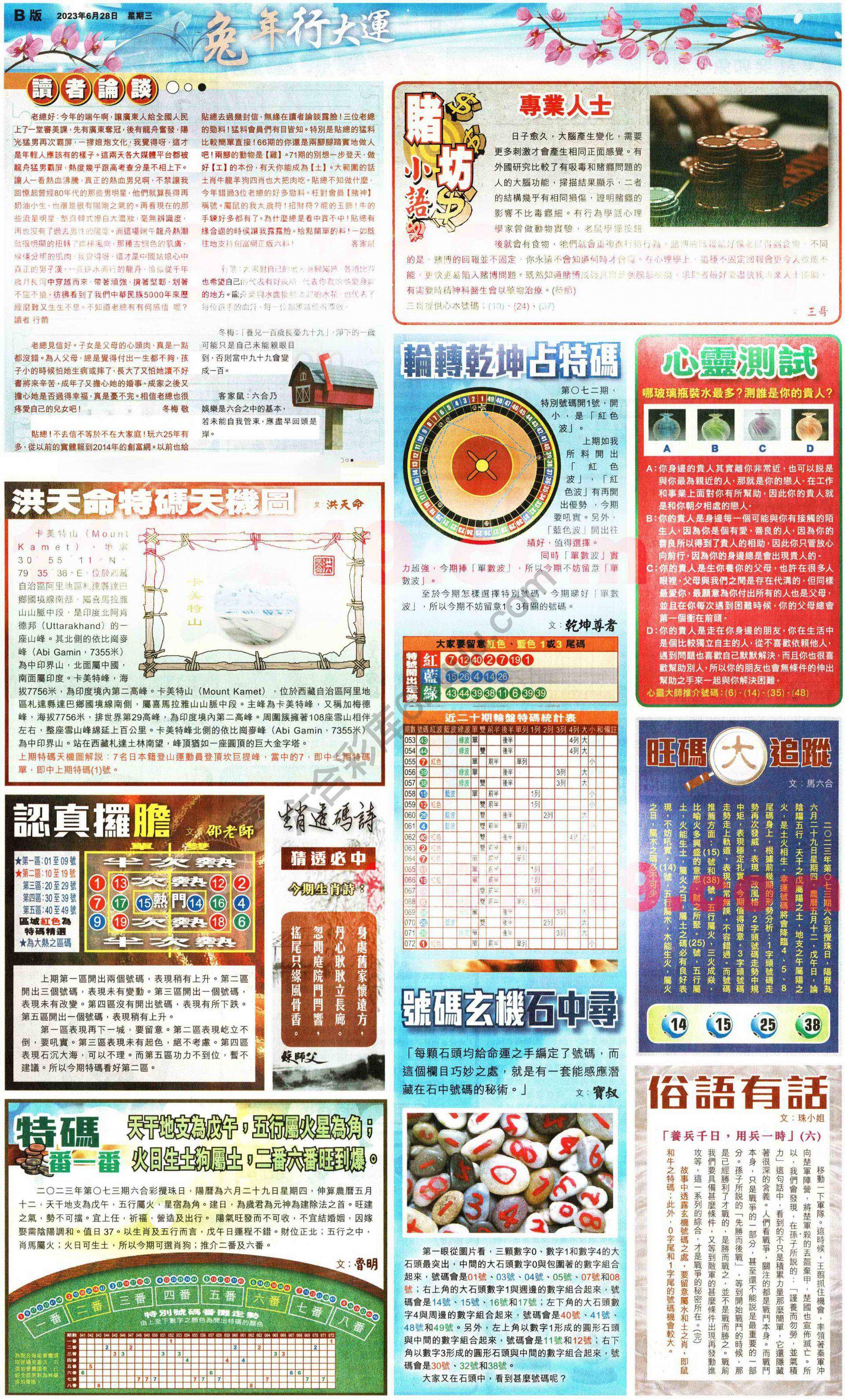 大版贴士皇