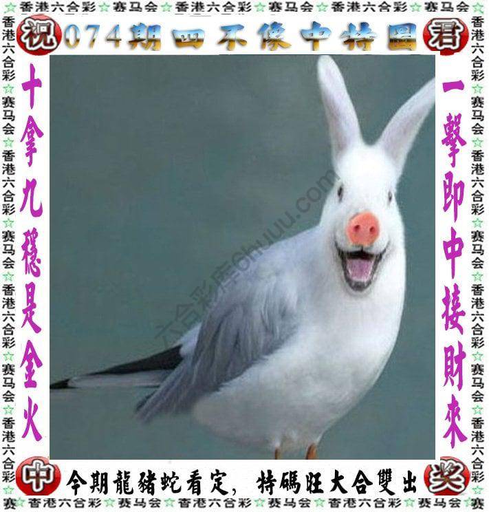 四不像中特图