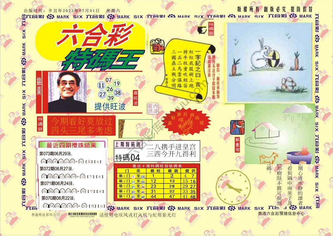特码王
