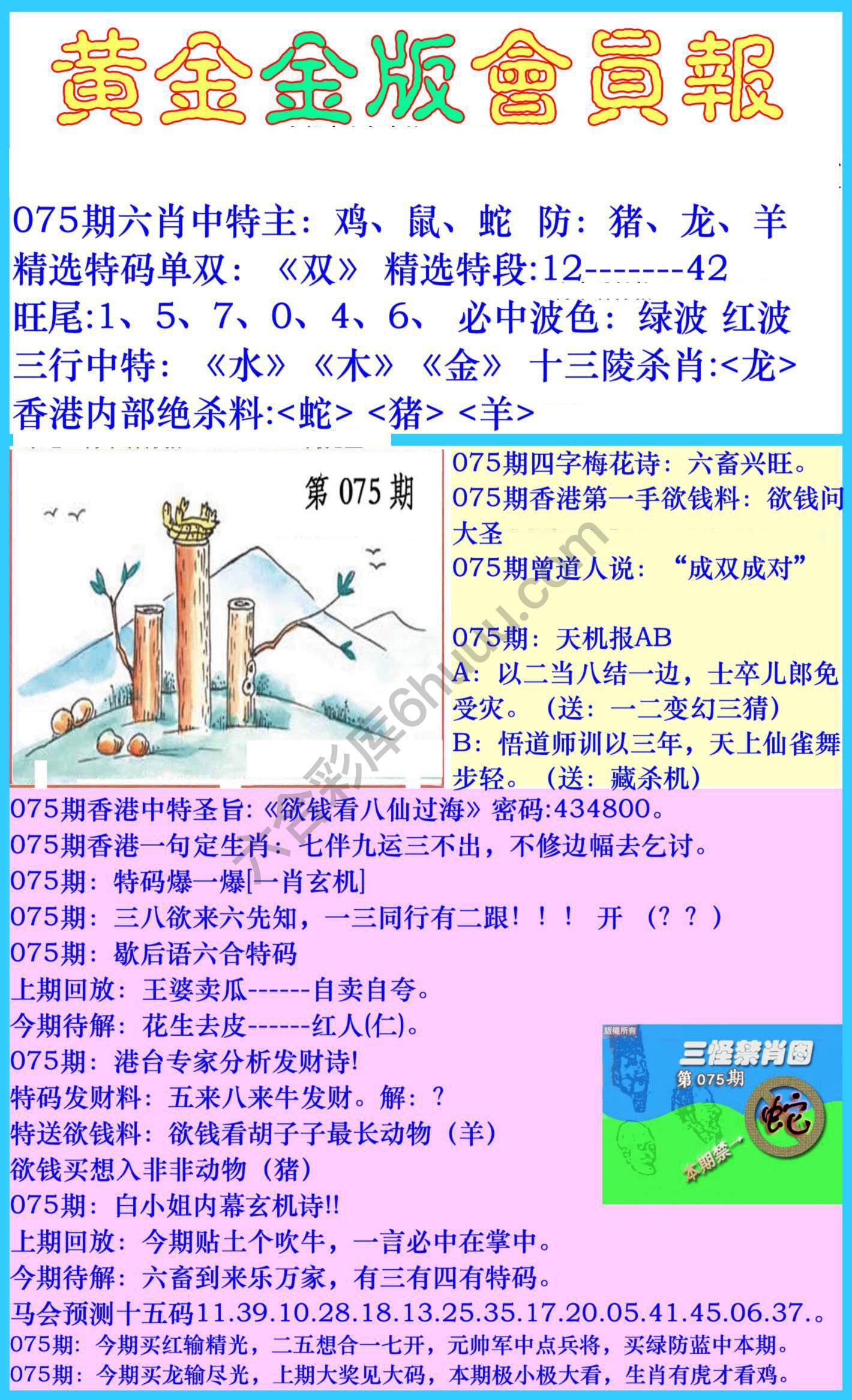 黄金金版会员报