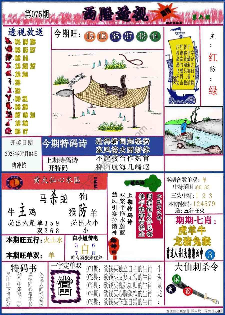 西陲透视（正版）