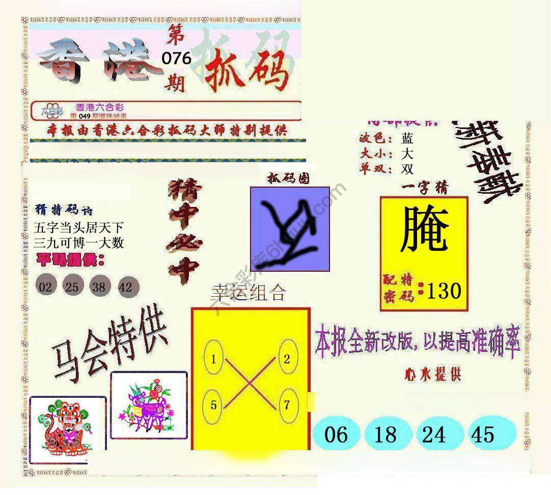 新抓码王